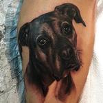 Tattoos - Dog - 130361